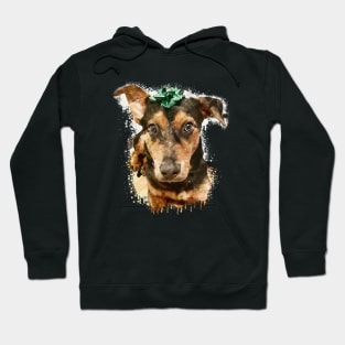 Miniature Pinscher dog watercolor Hoodie